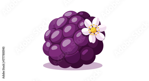 Vibrant Illustration of a Fresh Blackberry with a Delicate Blossom on a White Background