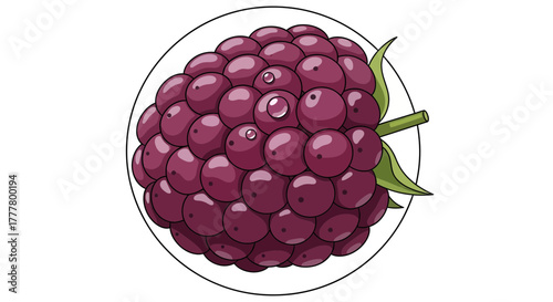 Vibrant Illustration of a Fresh Blackberry with Glossy Dew Drops Inside a Simple Circle Frame