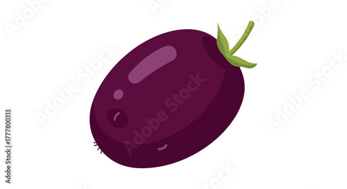 Vibrant Illustration of a Freshly Picked Eggplant Against a Pristine White Background