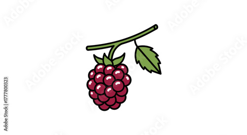 Vibrant Illustration of a Freshly Picked Raspberry on White Background with Foliage