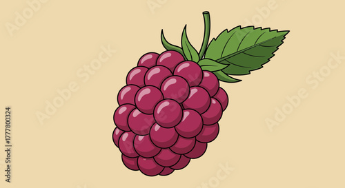 Vibrant Illustration of a Freshly Picked Raspberry Fruit on Neutral Background