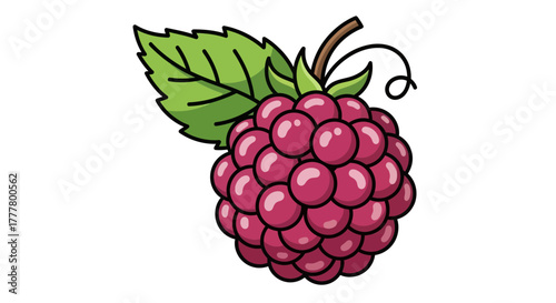 Vibrant Illustration of a Raspberry with Green Leaf and Detailed Coloring