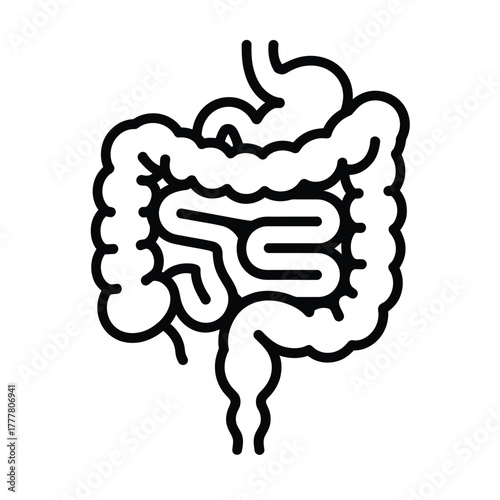 Stylized line art illustration of human digestive system organs