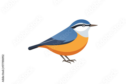 uthatch on white background.