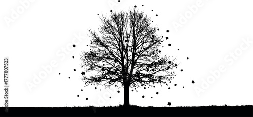 Silhouette of a bare tree with falling leaves against a white background.