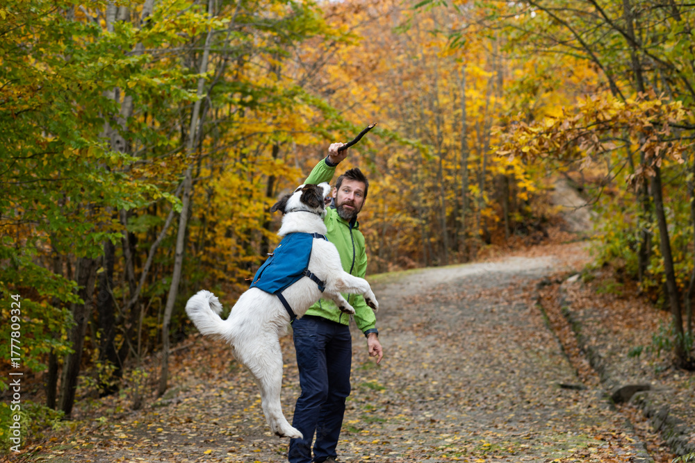 Fototapeta premium happy white dog with owner in autumn forest