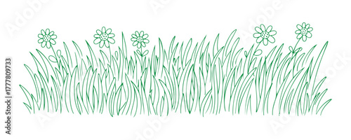 Meadow drawn by hand. Cartoon illustration on a plain white background.