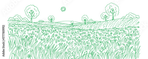 Grass doodle field sketch. Outline of a summer landscape.
