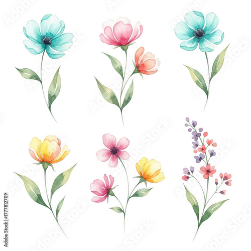 Delicate watercolor floral elements with soft petals and green stems for artistic designs isolated on transparent background