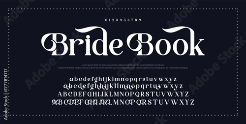 Elegant Font Uppercase Lowercase and Number. Classic Lettering Minimal Fashion Designs. Typography modern serif fonts regular decorative vintage concept. vector illustration