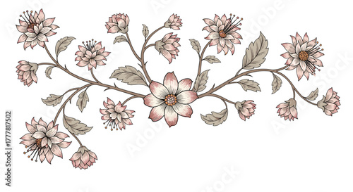 Elegant botanical illustration of a horizontal branch adorned with delicate pale pink flowers, detailed leaves, and subtle thorns on a white background.