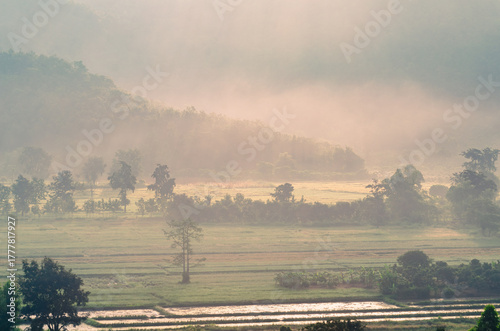 Beautiful view of morning light hitting fog,mountains, trees and green rice fields in the countryside in Chiang Rai. Northern Thailand.