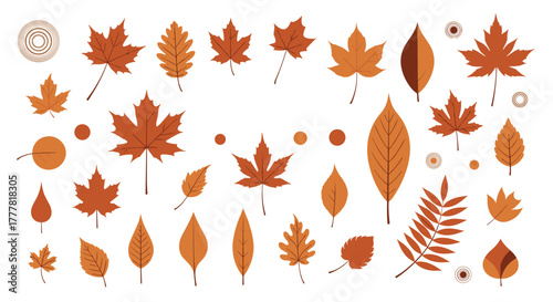 A vibrant collection of flat design autumn leaves and decorative elements in shades of orange and brown, perfect for fall projects.
