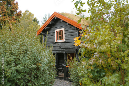Rustic wooden cabin with orange roof surrounded by greenery in a forest setting