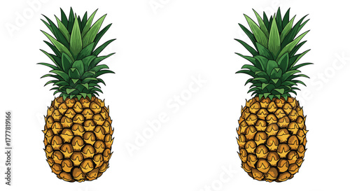 Two detailed illustrative pineapples with green leafy crowns and golden-yellow bodies stand side-by-side on a clean white background.