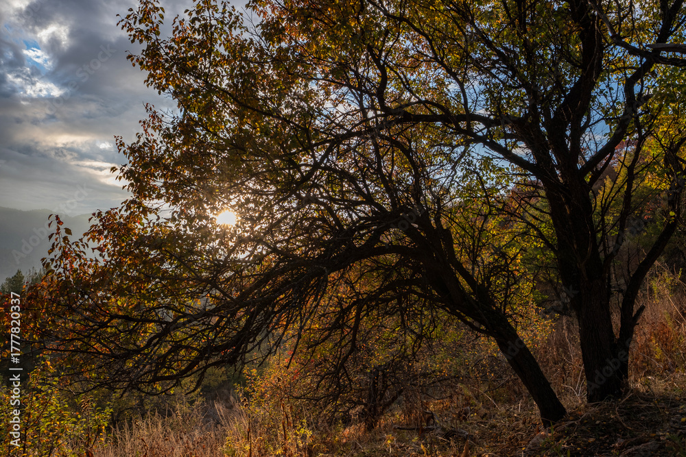 Fototapeta premium Autumn landscape in the mountains at sunset near Almaty, Kazakhstan.