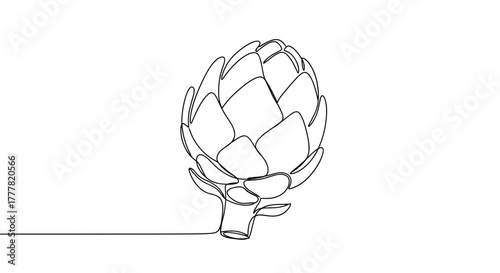 Line art illustration of an artichoke vegetable  