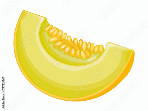 Slice of Cantaloupe melon isolated on white background for healthy eating and fresh summer fruit themes illustration