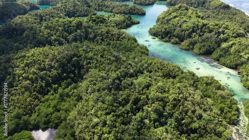 Raja Ampat. Indonesia. Aerial view of lush tropical islands and turquoise lagoons in showcasing pristine nature and coral-rich waters.	
