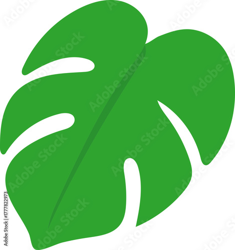 Monstera Deliciosa Leaf and Swiss Cheese Plant Tropical Foliage Vector Icons Collection
