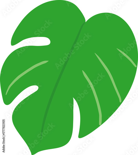 Monstera Deliciosa Leaf and Swiss Cheese Plant Tropical Foliage Vector Icons Collection