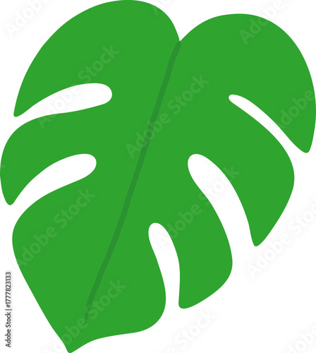 Monstera Deliciosa Leaf and Swiss Cheese Plant Tropical Foliage Vector Icons Collection