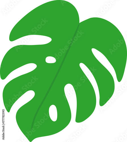 Monstera Deliciosa Leaf and Swiss Cheese Plant Tropical Foliage Vector Icons Collection