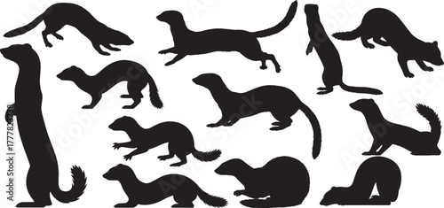 silhouettes of weasel set, ferret silhouette vector collection
