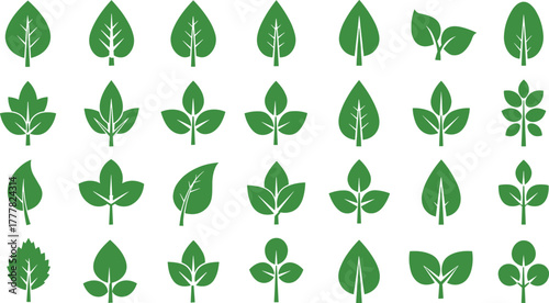 Collection of green leaf icons with veins and stems leaves nature