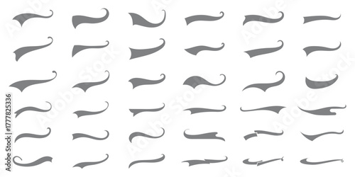 Vector swash swoosh flourish design elements. Curly swish tails and sporty plume swirl logo vector elements for retro banners