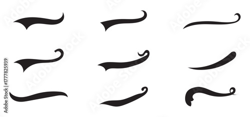 Swish and swash tail collection. Collection of black decorative pen lines and strokes. Underline swish tails for sport text logos, swirl calligraphic font line decoration element. Vector illustrator