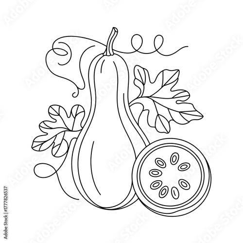 Bottle gourd is a green