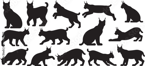 silhouettes set of wild cat in various poses like walking, running, jumping, and sitting. vector illustrator