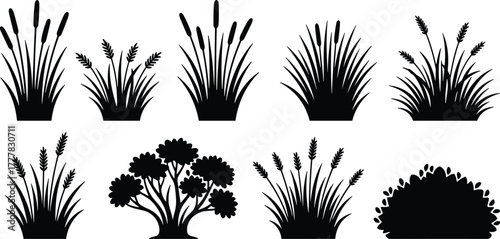 Grass and shrub silhouettes, black vector, botanical clipart, foliage shapes, landscape design, editable, nature, plant, bush, tree, seed head, wild, garden, decorative, bundle