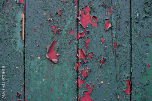 A close-up of old wooden planks where thick green paint peels away to reveal vivid red undercoat. The paint is peeling off the old wooden fence, it needs to be painted again, nice texture