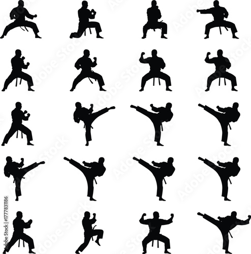 Martial arts silhouette, karate poses, taekwondo kicks, black belt training, combat stances, fighter movements, action sequence, self-defense illustration, athlete form