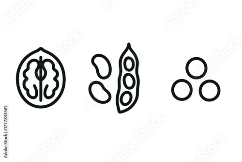 Minimalist line art of walnut, soybean pod, and peas outlined icons
