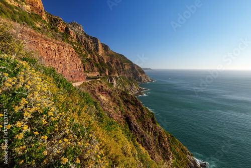 Breathtaking coastline view along Chapman’s Peak Drive near Hout Bay, Cape Town, Western Cape; rugged cliffs, blue ocean, winding road, iconic South African landscape under clear sky.