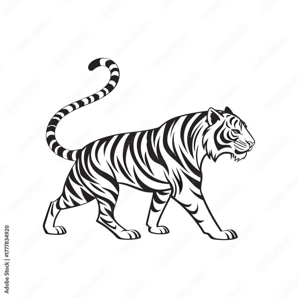 Obraz premium Tiger Silhouette Vector – Wild Animal Illustration