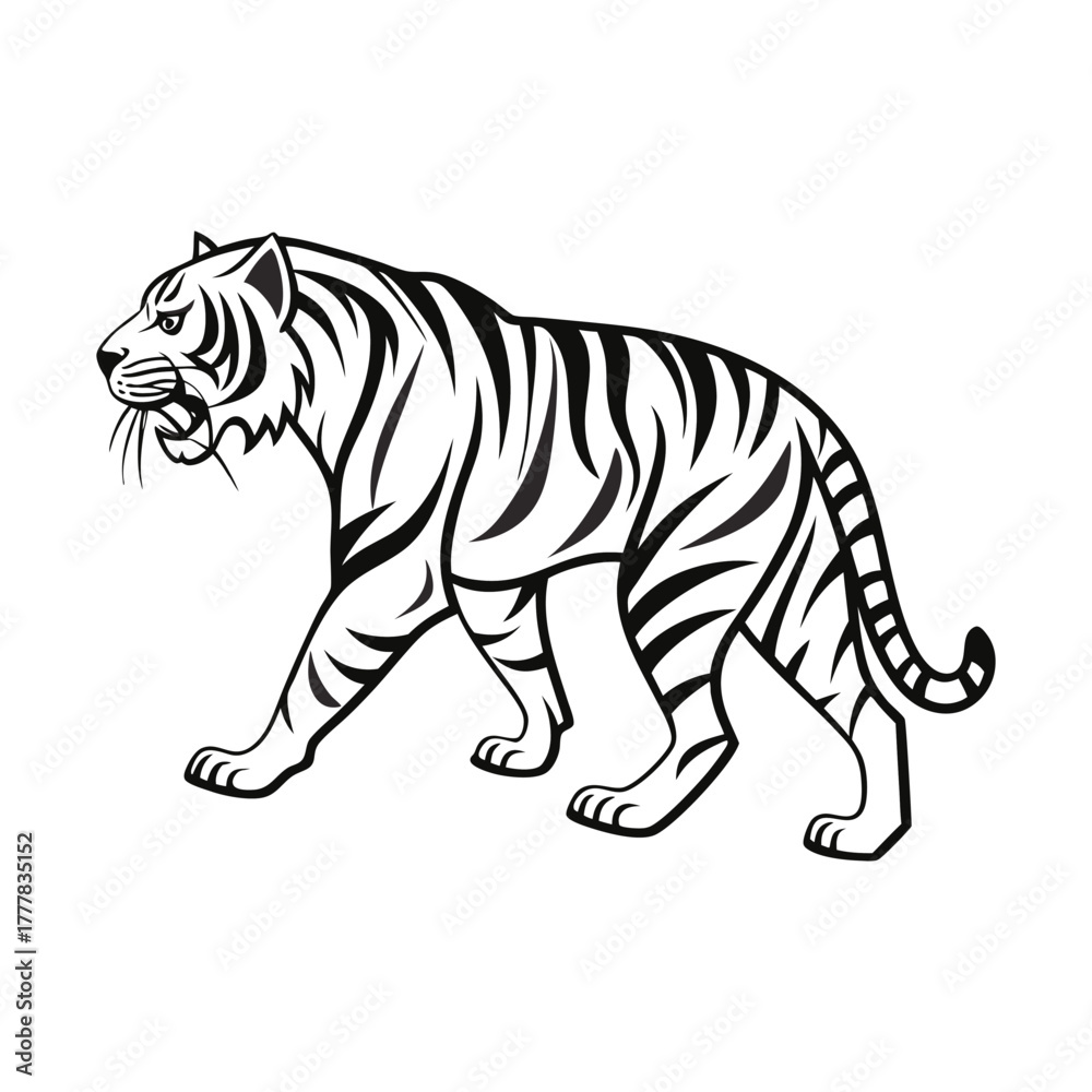 Fototapeta premium Elegant Walking Tiger Black and White Vector Illustration on White Background