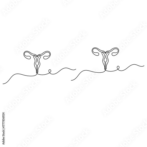 Womens uterus  icon   continuous one line drawing of outline vector illustration