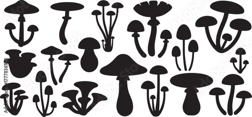Mushroom silhouette set, illustrations in various styles, representing nature, fungi, and botanical concepts. vector