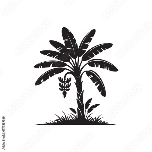 Banana silhouette vector graphic illustration