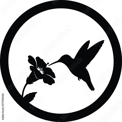 Vector hummingbird feeding on flower nectar inside a circle silhouette illustration