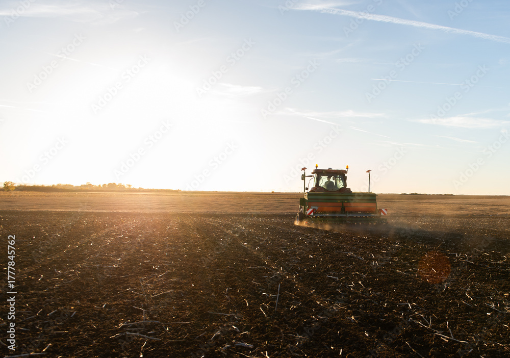 Fototapeta premium Farmer with tractor seeding in sunset