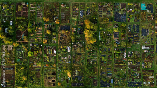 Fotografija Aerial drone view of community allotment gardens with individual vegetable plots