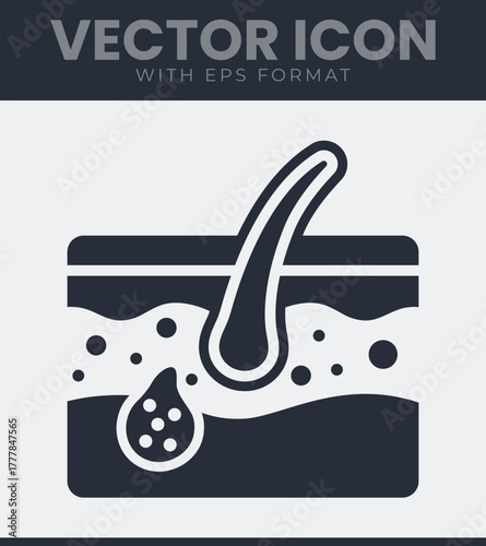 Detailed vector icon of hair follicle and sebaceous gland in skin cross-section, illustrating human integumentary system biology
