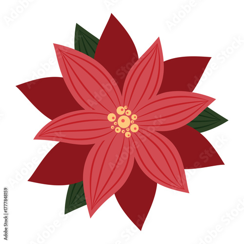 Vector illustration of Christmas red poinsettia flower with green leaves isolated on a white background. Festive traditional decoration.