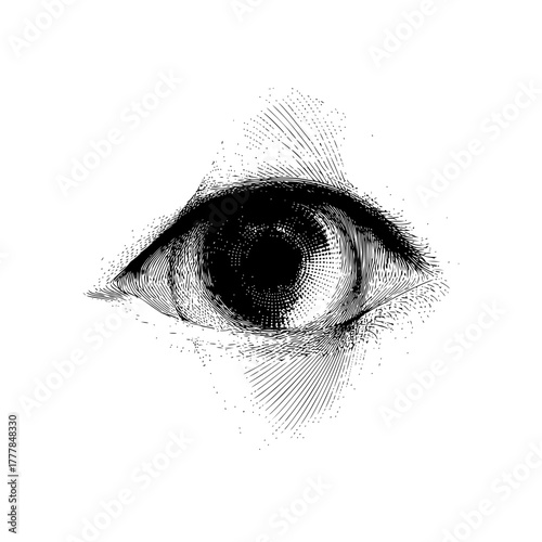 Detailed eye illustration engraving style vector drawing human eye anatomy medical illustration eye close up study