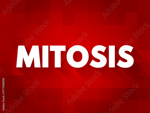 Mitosis is a part of the cell cycle in which replicated chromosomes are separated into two new nuclei, text concept background